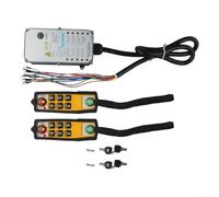 Paranco elettrico telecomandato resistente all'olio e agli acidi per gru, prestazioni stabili in condizioni di lavoro difficili (DC24V)