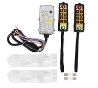 Paranco Gru Controller di sollevamento Grado industriale a tenuta stagna Resistente all'olio Resistente all'acidità Anticaduta Telecomando per gru Trasportatori Attrezzature per (DC24V)