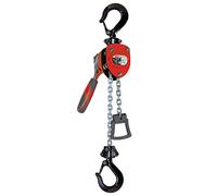 PARANCO MANUALE A CATENA 250 KG ARGANO MONTACARICHI VERRICELLO SOLLEVATORE VALEX
