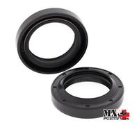 PARAOLI ALBERO MOTORE POLARIS XPLORER 250 4X4 2000-2002 ALL BALLS 24-2039