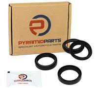 Paraoli Cappucci di Protezione FDK-001 per Triumph Daytona Tripla Velocità 955