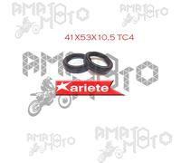 PARAOLI FORCELLA ARIETE TC4 41 x 53 x 10,5 ARI.041