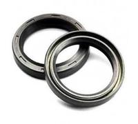 PARAOLI SOSPENSIONE ANTERIORE TG4 31,5X45X7,1