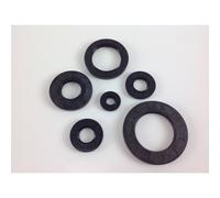 Paraolio 12X22X4,5/5 ALPINA decespugliatore 21 22 25 tagliasiepe TS24 TS25 TS27