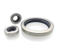 Paraolio a doppio labbro, 1PC Doppio Labbro Diametro Interno 8-25mm Paraolio In Acciaio Inox, Vite Rod Guarnizione 'albero Utilizzando for Pompa A Vuoto paraolio motore(25 * 45 * 10mm)