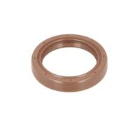 Paraolio, albero a camme CORTECO 19036919B