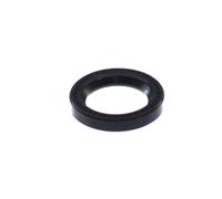 Paraolio, albero a camme ELRING 293.946