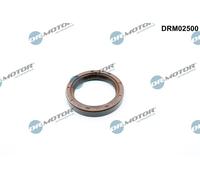 Paraolio, Albero a camme Parte frontale per ALPINA BMW CITROËN PEUGEOT 1007 206