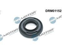 Paraolio, Albero a camme Parte frontale per CITROËN FIAT FORD JAGUAR LAND ROVER