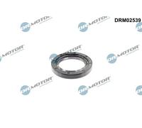 Paraolio, Albero a camme Parte frontale per DAEWOO MERCEDES-BENZ PAGANI PUCH SSA