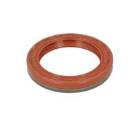 Paraolio, albero a camme REINZ 81-24909-10