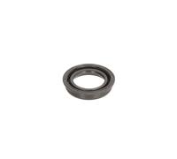 Paraolio, albero a camme REINZ 81-36789-00