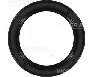 Paraolio, albero a camme REINZ 81-36971-00