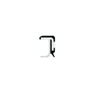 O-ring albero motore Parte frontale PTFE (Politetrafluoretilene) 15015976B