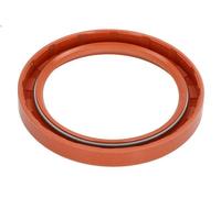 Paraolio, Albero a gomiti REINZ 81-10099-00 per VOLVO FLC 4 1996-2