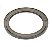 Paraolio, Albero a gomiti REINZ 81-10445-00 per SCANIA T 8.867 2004-2019