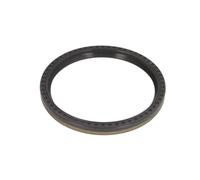 PAYEN AE ITALIA GP287.300 Elring,