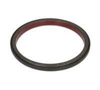 Paraolio, albero motore REINZ 81-37173-00