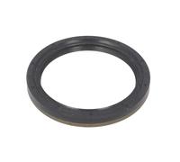Paraolio, albero motore REINZ 81-37609-00