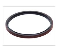 Paraolio, albero motore REINZ 81-37937-00
