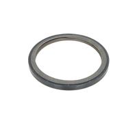 Paraolio, albero motore REINZ 81-42912-00