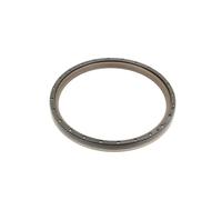 Paraolio, albero motore REINZ 81-42913-00