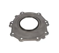 Paraolio, albero motore REINZ 81-90069-00