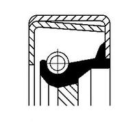 Paraolio albero pompa olio ACM (Poliacrilico- Caucciù) 01020400B CORTECO