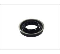 Paraolio, Albero primario NATIONAL 710489NAT per DODGE DURANGO (HB) 5.7 2003-201