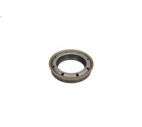 Paraolio, Albero primario NATIONAL 710797NAT per CARAVAN (RG_) 2.4 2000-