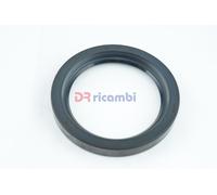 PARAOLIO ANELLO DI TENUTA CORTECO 01000368B - D. 75x100x13
