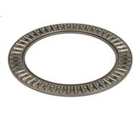 Paraolio, cambio automatico ZF 0635900523