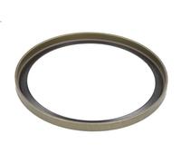 Paraolio, Cambio manuale C.E.I 189.738