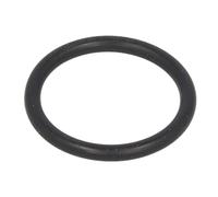 Paraolio, cambio manuale LEMA 105045