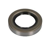 Paraolio, cuscinetto ruota BTA 47100603BTA