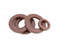 paraolio di scheletro di gomma del diametro interno TC TG4 di 120-200mm ad alta resistenza e resistenza al calore(180x215x16)