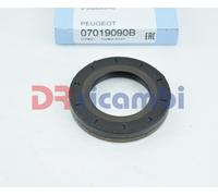 Paraolio, differenziale CORTECO 07019090B