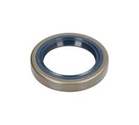 Paraolio, differenziale CORTECO 01002852B