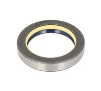 Paraolio, differenziale CORTECO 12001886B