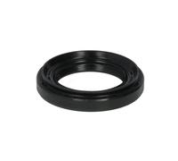 Paraolio, differenziale CORTECO 19016560B