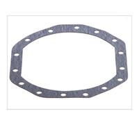 Paraolio, differenziale LEMA 31017.00
