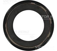 Paraolio, differenziale REINZ 81-38026-00