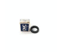 Paraolio Evinrude Johnson BRP - 1 PZ - 302538