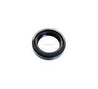 Paraolio Evinrude Johnson BRP - 1 PZ - 5033612