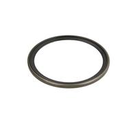 Paraolio, flangia cambio manuale ZF 0501313171
