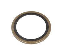 Paraolio, flangia cambio manuale ZF 0501314108ZF
