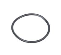 Paraolio, flangia cambio manuale ZF 0634314015