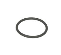 Paraolio, flangia cambio manuale ZF 0634316057