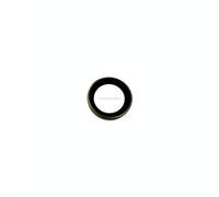 Paraolio Motore Evinrude Johnson BRP - 1 PZ - 321467