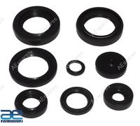 Paraolio Motore Kit Per Yamaha RX100 Rx 100 RS100 RX125 Rs 125 Rxg 135 RX135 Rxg